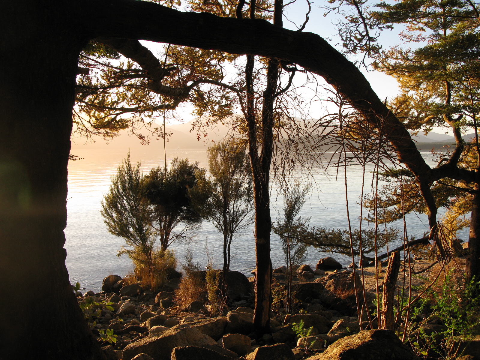 Lake Manapouri