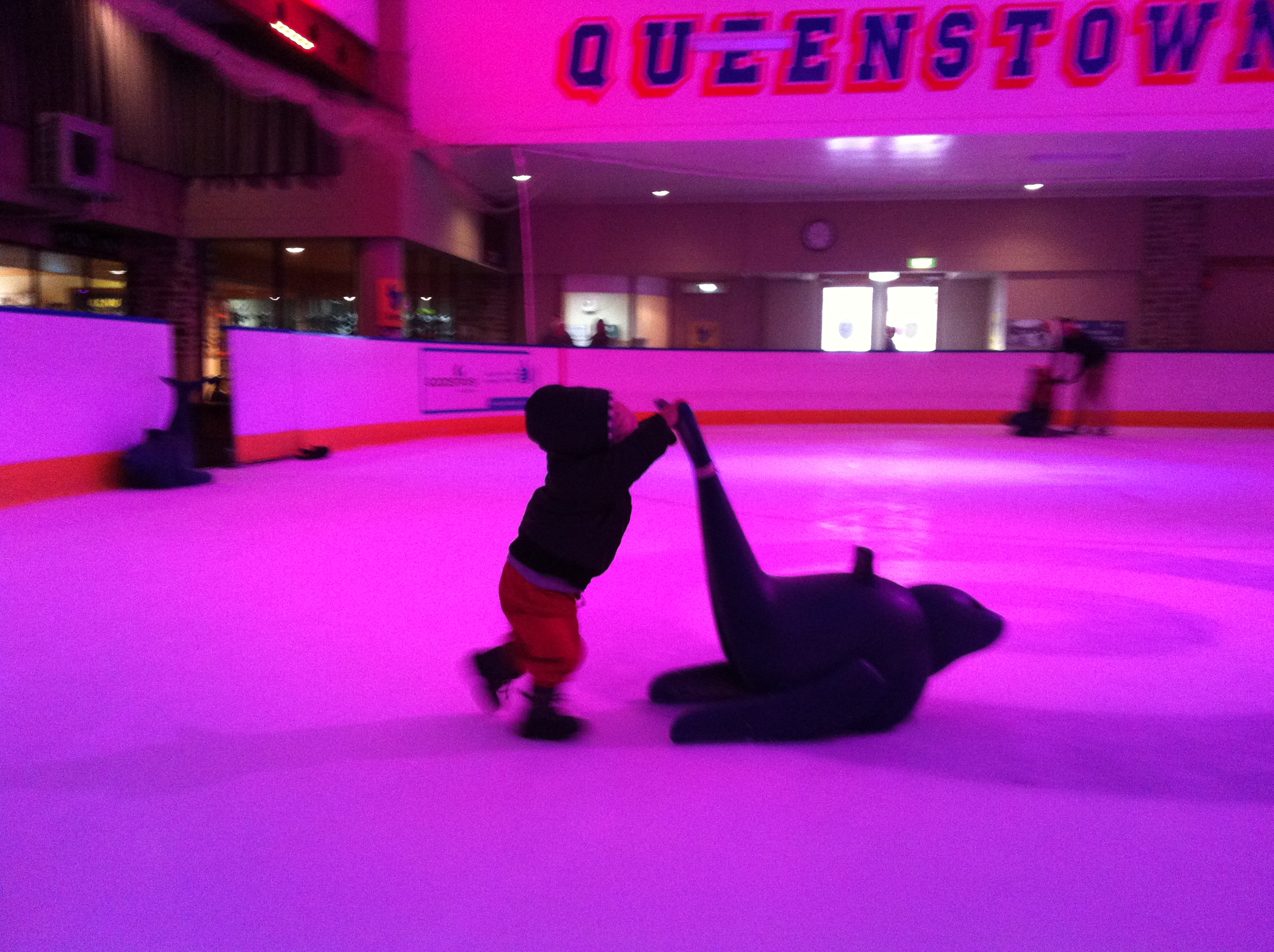Queenstown ice rink